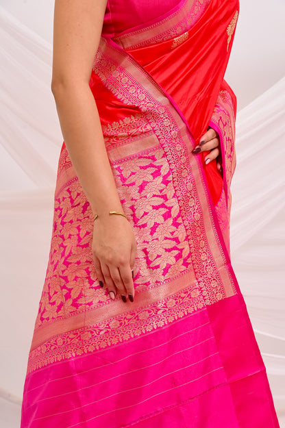 Gulnaar
